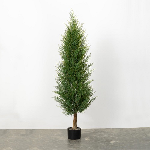Cedar Arborvite Potted - Artificial Trees & Floor Plants - artificial trees for rent for advertising commercials